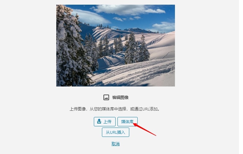 wordpress编辑图片